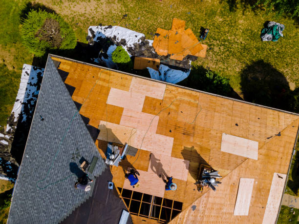 Best Roof Waterproofing Services  in Meadow Glade, WA