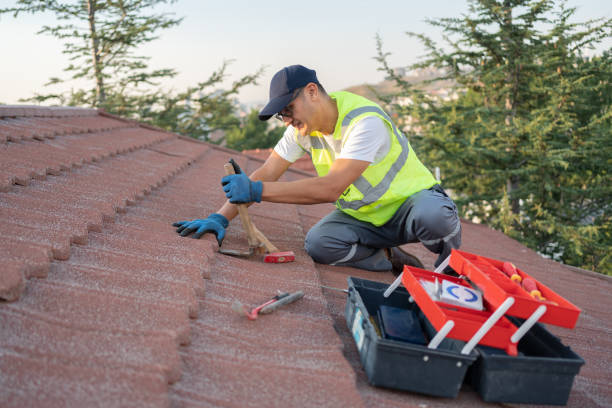 Best Flat Roof Repair Services  in Meadow Glade, WA