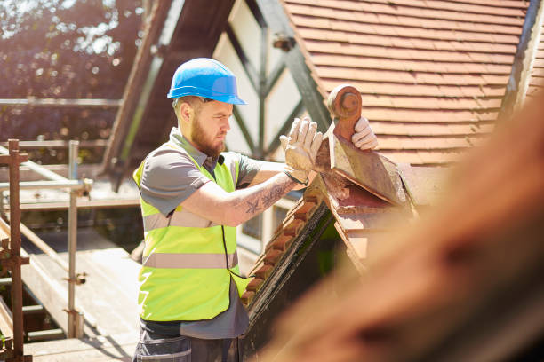 Roof Gutter Cleaning in Meadow Glade, WA
