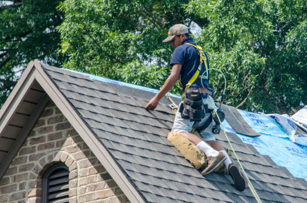 Professional Roofing Contractor in Meadow Glade, WA